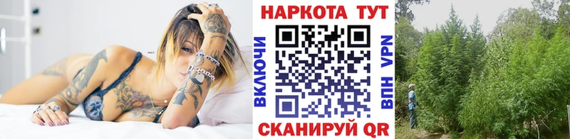 Виды наркоты Алейск Канабис  СОЛЬ  Гашиш  Кокаин 