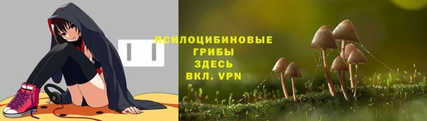 гидра Абинск