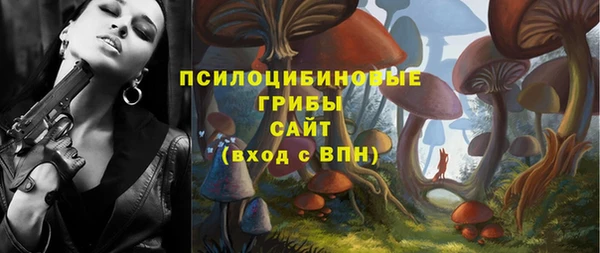 прущие крисы Переславль-Залесский