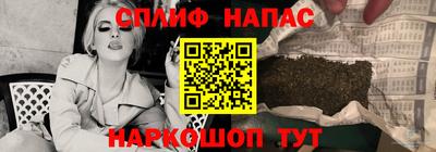 тгк Бердск