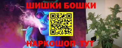 тгк Бердск
