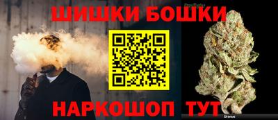 тгк Бердск