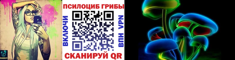 Псилоцибиновые грибы MAGIC MUSHROOMS  как найти   Алейск 